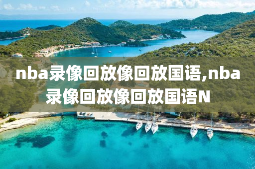 nba录像回放像回放国语,nba录像回放像回放国语N