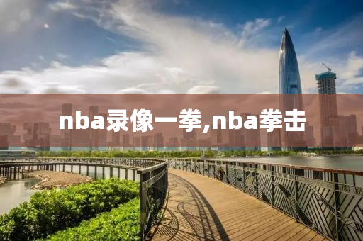 nba录像一拳,nba拳击