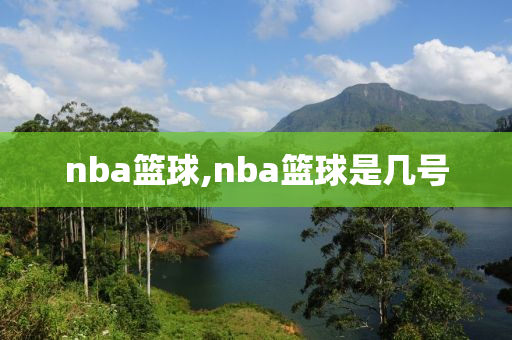 nba篮球,nba篮球是几号