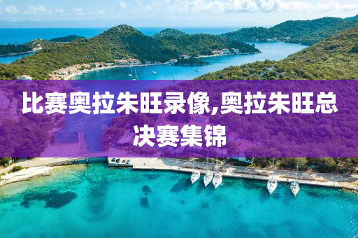 比赛奥拉朱旺录像,奥拉朱旺总决赛集锦