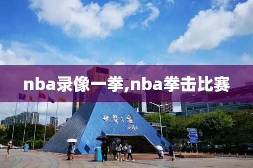 nba录像一拳,nba拳击比赛