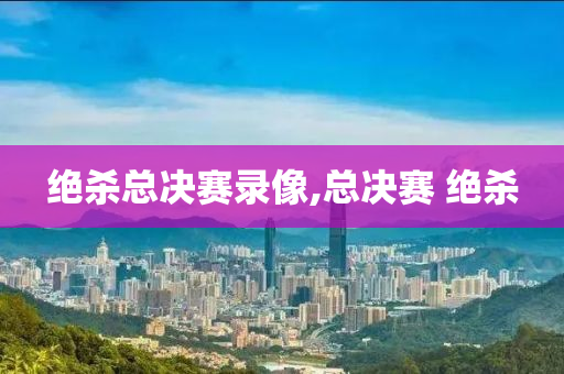 绝杀总决赛录像,总决赛 绝杀