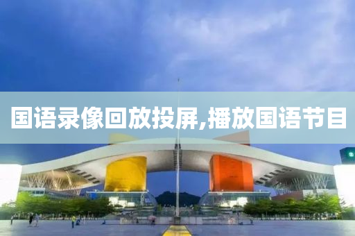 国语录像回放投屏,播放国语节目