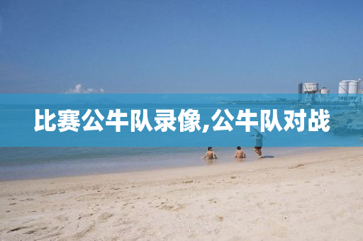比赛公牛队录像,公牛队对战