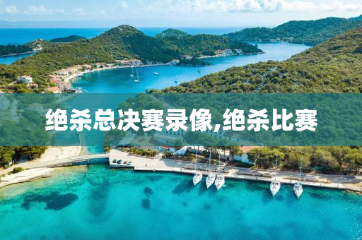 绝杀总决赛录像,绝杀比赛