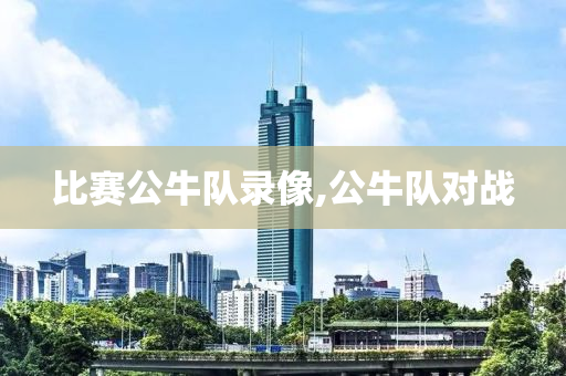 比赛公牛队录像,公牛队对战