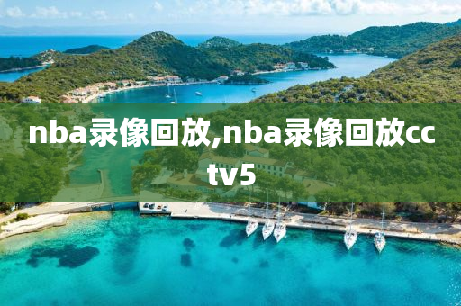 nba录像回放,nba录像回放cctv5