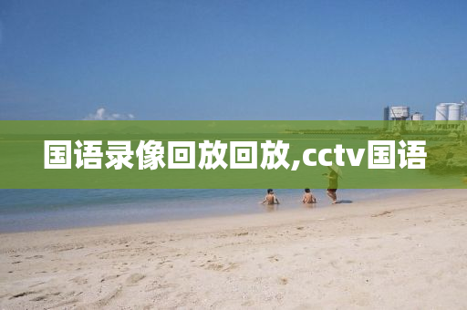 国语录像回放回放,cctv国语