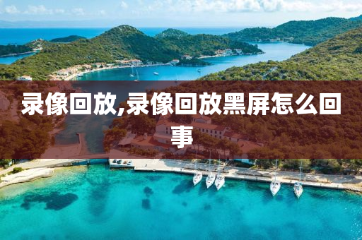 录像回放,录像回放黑屏怎么回事
