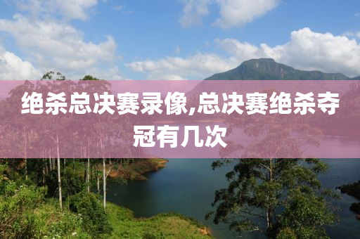 绝杀总决赛录像,总决赛绝杀夺冠有几次